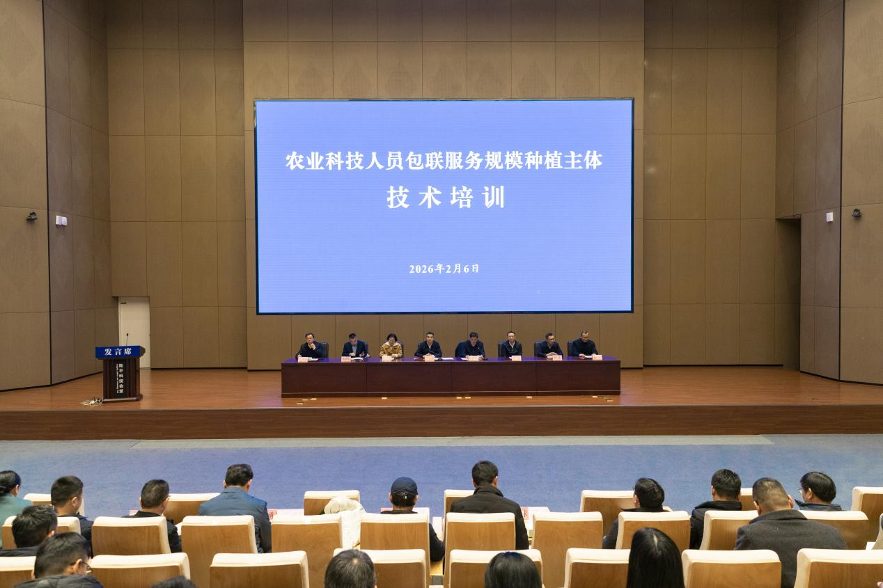 农业科技人员包联服务规模种植主体技术...