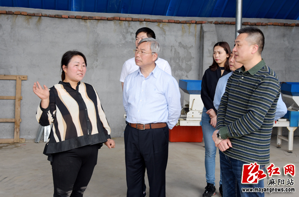 省局局长王罗方来怀化调研农机工作
