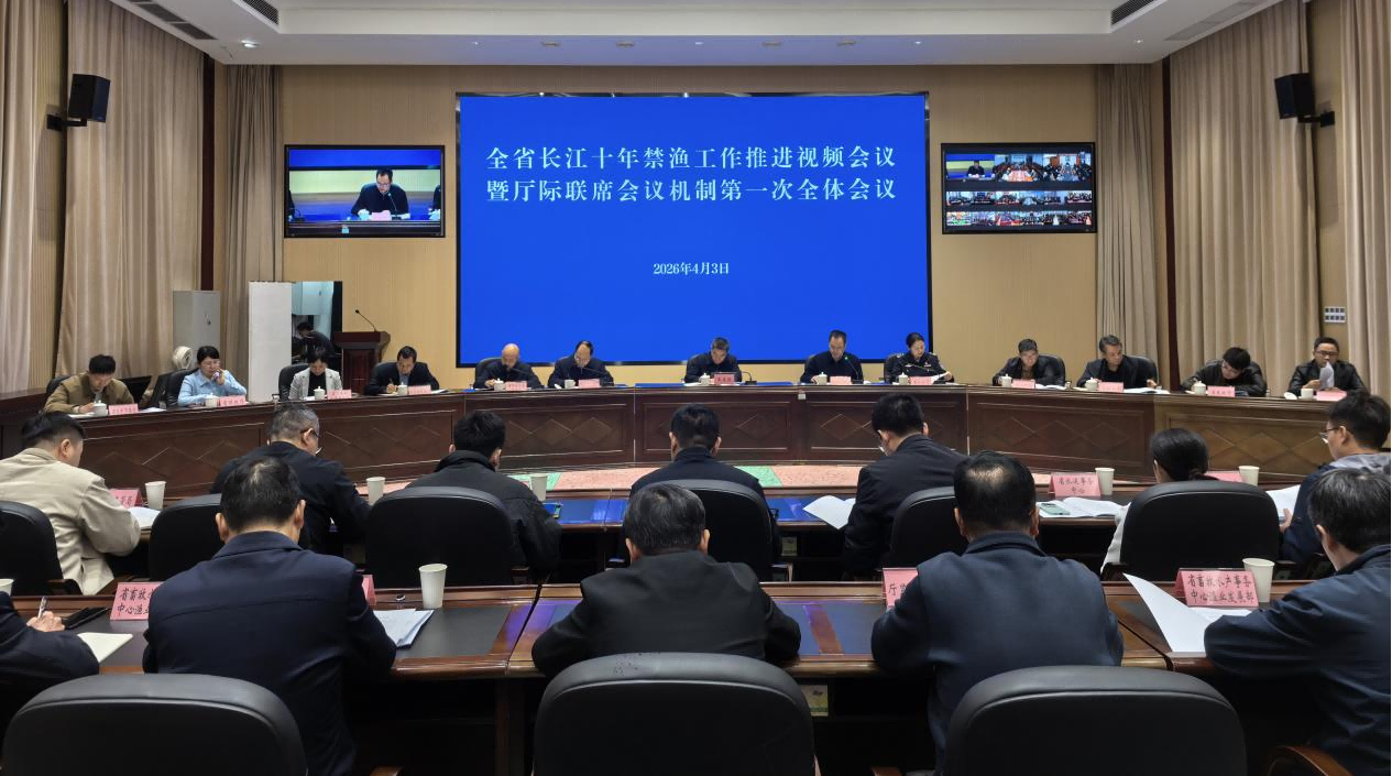 湖南省长江十年禁渔工作推进视频会在长...