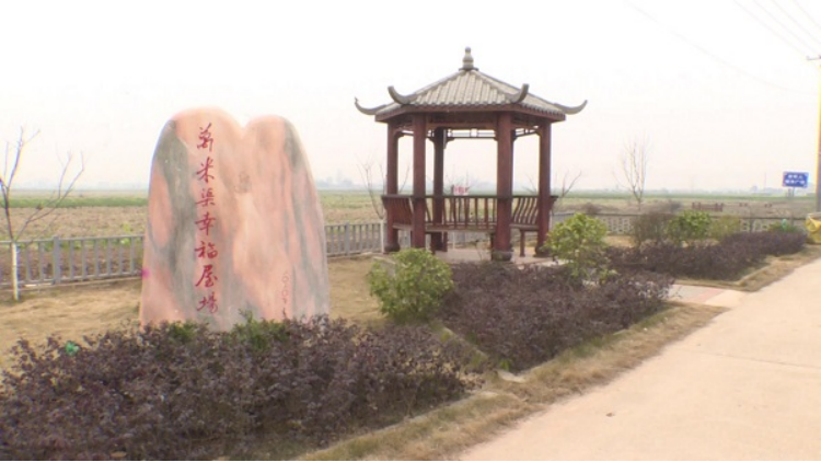 常德市安乡县黄山头镇打造美丽乡村建设幸福家园