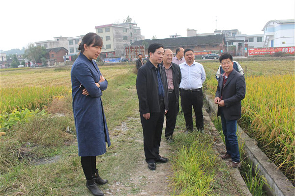 鄒永霞與邵陽市農委及隆回,洞口,武岡,新寧,城步,綏寧,新邵